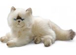 Gatto Carl Dick, Gatto Persiano Chocolate Point Ca. 30 Cm 3201 Peluche, Peluche, Peluche