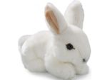 Carl Dick Lepre Seduta Bianca, Lepre Delle Nevi, Circa 17Cm 2755003 Peluche, Peluche, Peluche