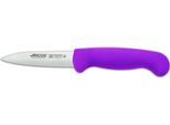 Coltello Mondador Arcos 2900 - Prof 290031 Acciaio Inox Nitrum Mango Polipropilene Ergonomico Colore Fucsia E Lama Da 8 Cm, Custodia Da Esposizione