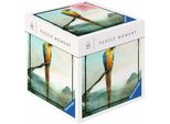 Ravensburger Puzzle Pappagallo 99 Pezzi