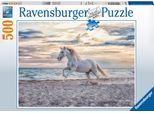 Cavallo Sulla Spiaggia Ravensburger 16586