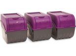 Novaliv Cassette Per Verdure Cassette Per Patate Contenitori Di Stoccaggio Da 3,5L A 9L (Viola, 3X 9L)