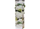 Hydrangea Macrophylla Wudu 20-30 Cm / Vaso 10,5 - Ortensia Dai Magnifici Fiori