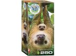 Eurographics Puzzle Save Our Planet: Sloth Xl 250 Pezzi