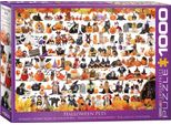 Puzzle Da 1000 Pezzi - Puzzle - Cuccioli E Gattini Di Halloween + Set Deluxe Di 3 Accessori Per Puzzle