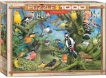Il Mondo Colorato Degli Uccelli - Puzzle Da 1000 Pezzi - Dimensioni 68X48 Cm