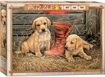 Cuccioli Nella Fattoria - Puzzle Da 1000 Pezzi In Formato 68X48 Cm