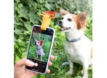 Clip Per Selfie Per Animali Domestici Pefie Innovagoods