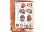 Puzzle Da 1000 Pezzi - Puzzle - Anatomia E Chirurgia Delle Funzioni Cerebrali + Accessori Per Puzzle