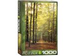 Puzzle Da 1000 Pezzi - Puzzle - Sentiero Della Foresta Illuminata Dal Sole + Accessori Per Puzzle