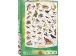 Puzzle Da 1000 Pezzi - Puzzle - Il Mondo Degli Uccelli + Puzzle Cornice In Alluminio Per 1000 Pezzi