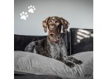 Cuscino Per Cani Madison Panama 100X70X15 Cm Grigio