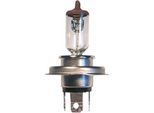 Johns, 10X Lampadina Lampadina Lampadina Lampadina H4 12V 60/55W Base P43T Alogena