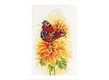 Lanarte Set Punto Croce "Fluttering Peach Butterfly Aida"", Schema Di Conteggio, 22X33Cm"