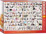 2000 Pezzi Puzzle Mondo Gatto