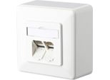 Btr Netcom 130C380002-I Presa RJ-45 Bianco