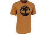 Timberland Ss K-R Brand Tree T Maglietta Logo Uomo, Taglia:M, Timberland Colori:Wheat Boot P471
