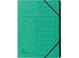 Exacompta 541203E Organizer - 12 Scomparti, A4, Truciolato Colorato, Verde