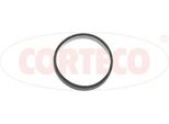 Corteco 49421043 Guarnizione Del Collettore D'aspirazione Per Opel Grandland X (A18) Crossland X (P17) Combo E Furgone / Estate (X19) Per Ford Fiesta Mk6 Hatchback