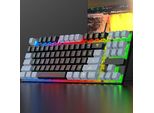 75% Tastiera Meccanica Di Gioco, Cavo Usb Tastiera Led Rgb Retroilluminazione Anti-Ghosting, 87 Tasti, Compatto Computer Windows Laptop Pc Gamer