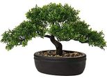 Bonsai Artificiale, Pianta Realistica Di Pino Cedro -Podocarpus, Fioriera In Plastica Di Ceramica In Nero Bagno Decorazione Davanzali Ufficio Desktop