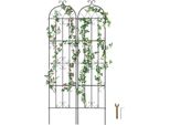 Set Di 2 Tralicci Per Piante Da Arrampicata 51X220Cm