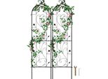 Set Di 2 Tralicci Per Piante Da Arrampicata 38X152Cm