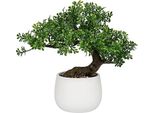 Oairse 25 Cm Pianta Artificiale Bonsai In Vaso Di Ceramica Piante Artificiali Estetica Decorazione Giapponese Per Soggiorno Camera Da Letto Bagno Davanzale