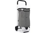 Blnbag T2 - Carrello Della Spesa Leggero Pieghevole 46L Borsa Della Spesa Impermeabile Grandi Ruote, Carrello Mercato Carrello Della Spesa Carrello Shopper Stabile, Grigio