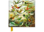 Ernst Haeckel: Colibrì (Diario Tascabile Sventato)