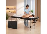 Mucola Lettino Da Massaggio A 2 Zone Panca Da Massaggio Pieghevole Tavolo Cosmetico Tavolo Da Massaggio Tavolo Terapeutico Mobile Struttura In Alluminio - Nero