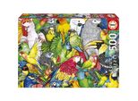 Educa Puzzle Pappagalli 500 Pezzi