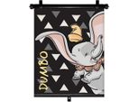 Tenda A Rullo 36X45 Cm, Dumbo