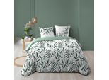 Set Di Biancheria Da Letto In Cotone, Eldorado, 240 X 220 Cm