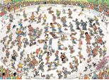 Puzzle Jumbo Jan Van Haasteren Skate Bowl 1000 Teile Puzzlespaß