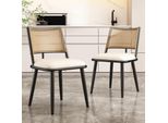 Flieks Sedie Da Pranzo In Rattan Set Di 2, Tavolo Da Pranzo Sedie Da Cucina Con Gambe In Metallo, Sedia Da Giardino Sedia Per Il Tempo Libero Sedia Da Soggiorno, Pu, Nero