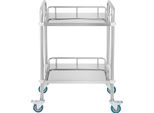 Succebuy Carrello Rotante Da Laboratorio, Carrello A 2 Ripiani In Acciaio Inox Con Rotelle Girevoli, Carrello Dentale Per Cliniche, Laboratori, Ospedali E Saloni, 15,16" X 21,57"" X 34,06"", Resistente E Facile Da Spostare"