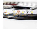 Striscia Led Pro Bianco Freddo 5M 24W Milagro ML4750