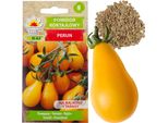 Pomodoro Ciliegino Macinato High Perun 0,5G Semi Produttivo