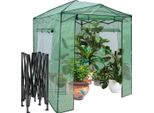 Serra Portatile Pop-Up Serra Da Giardino Walk-In 180 X 250 X 230 Cm Verde