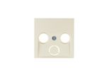 Berker Piastra Centrale Ant.Box 3F S.1 Cws Glz Avvitamento