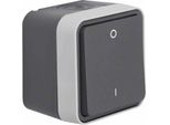 Berker Interruttore A Bilanciere 2P Lgr Mt W.1 Ap IP55 1F