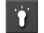 Gira 066467 Accessori Per Interruttori Elettrici (066467)