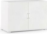 Dmora Armadio Multiuso 2 Ante Serafinito 45X66H Cm Bianco, 2 Ante 2 Vani Italy