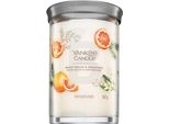 Yankee Candle Tumbler Abete Bianco E Pompelmo 567 G