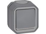 Legrand 069726L Plexo Legrand 069726L New Frap 2Per Schalter Kontroll 10 Ax 1 (069726L)