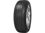 Minerva Radial F109 ( 195/55 R15 85H )