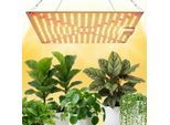 45W 240 Led Lampada Per Piante Spettro Completo Luce Solare Bianca Altezza Di Sospensione Regolabile Uv Ir Lampada Di Coltivazione Luce Per Piante Da Appartamento