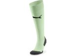 Puma Team Liga Calzature Core Green 43-46