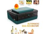 25 Incubatrice Per Uova Con Rotazione Automatica Delle Uova E Controllo Dell'umidità, Con Candela Per Uova, Incubatrice Per Uova Di Gallina, Quaglia, Anatra, Oca